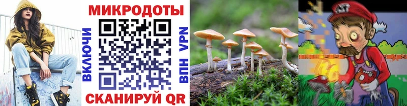 Псилоцибиновые грибы мицелий  Всеволожск 